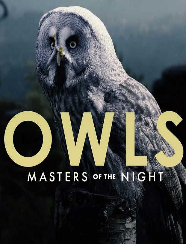 فيلم Owls: Masters of the Night 2020 مترجم فيلم Owls: Masters of the Night 2020 مترجم
