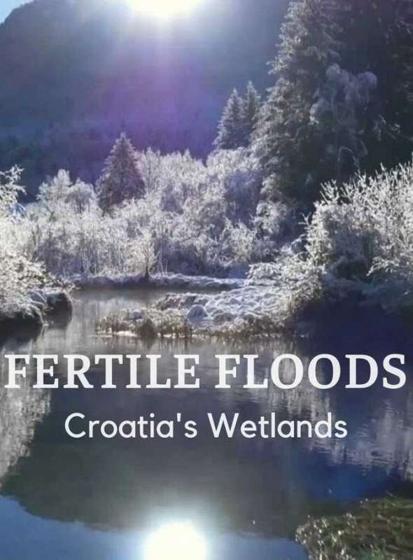 فيلم Fertile Floods: Croatia’s Wetlands 2018 مترجم فيلم Fertile Floods: Croatia’s Wetlands 2018 مترجم