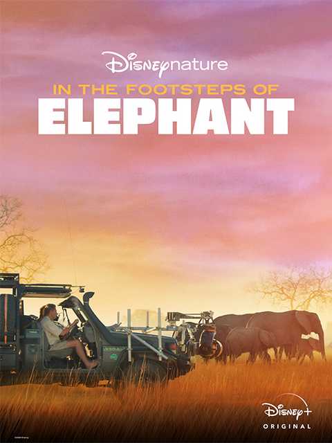 فيلم In the Footsteps of Elephant 2020 مترجم فيلم In the Footsteps of Elephant 2020 مترجم