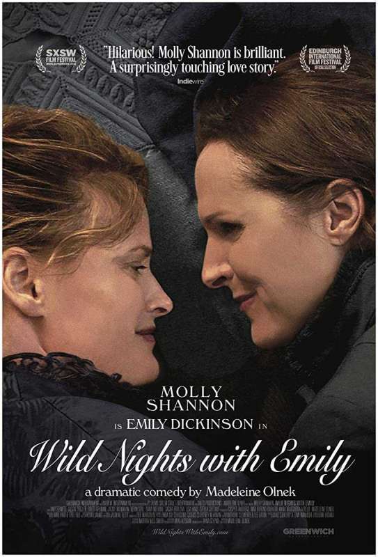 فيلم Wild Nights with Emily 2018 مترجم فيلم Wild Nights with Emily 2018 مترجم