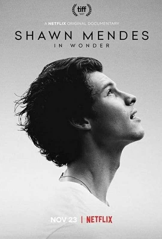 فيلم Shawn Mendes: In Wonder 2020 مترجم فيلم Shawn Mendes: In Wonder 2020 مترجم