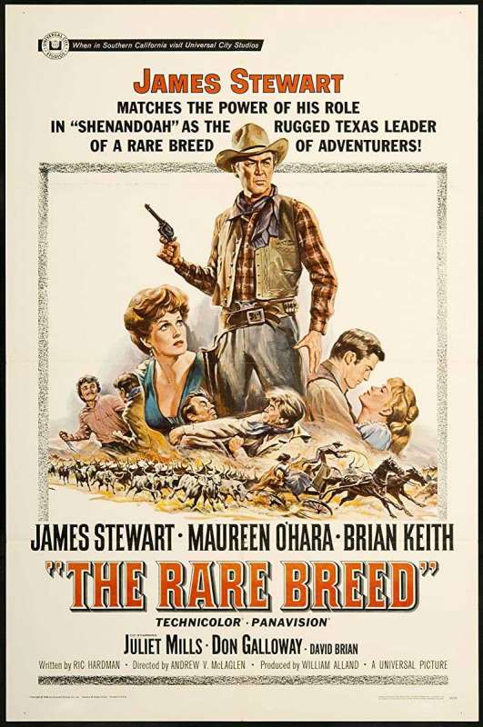 فيلم The Rare Breed 1966 مترجم فيلم The Rare Breed 1966 مترجم