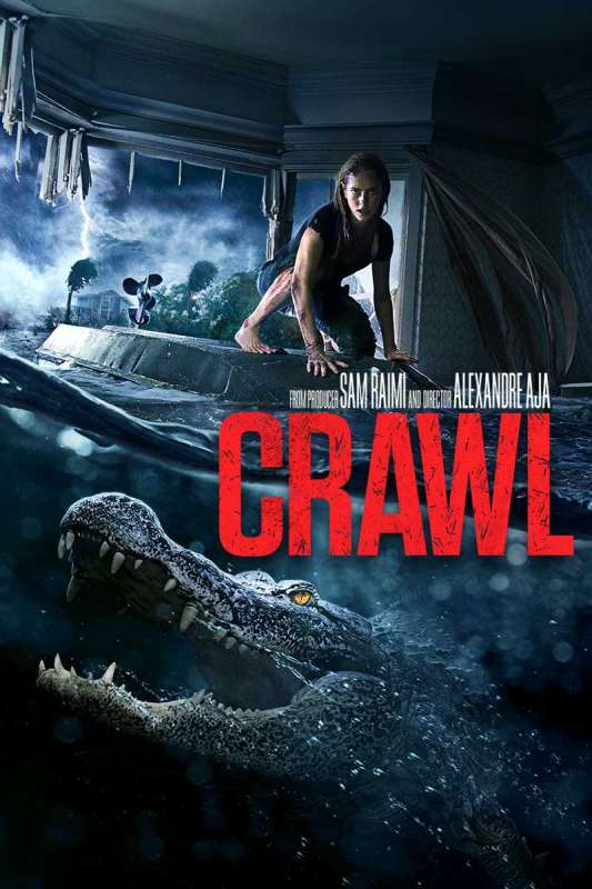 فيلم Crawl 2019 مترجم فيلم Crawl 2019 مترجم