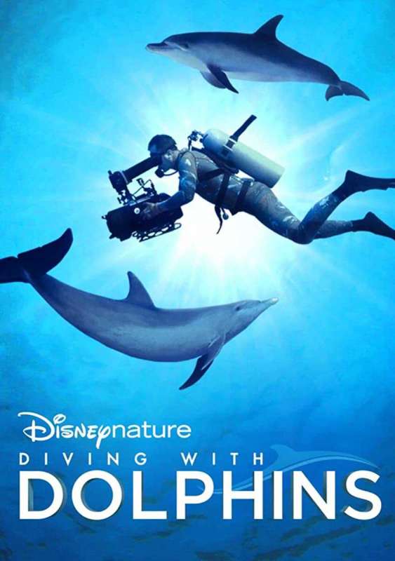 فيلم Diving with Dolphins 2020 مترجم فيلم Diving with Dolphins 2020 مترجم