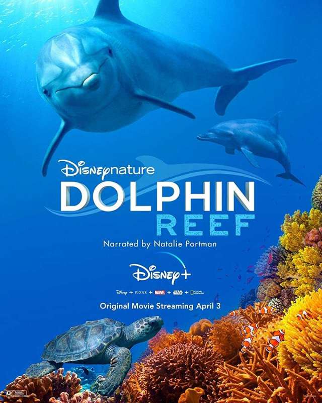 فيلم Dolphin Reef 2020 مترجم فيلم Dolphin Reef 2020 مترجم
