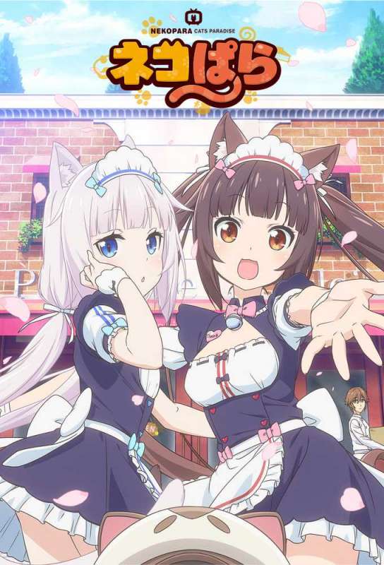 انمي Nekopara حلقة 10 مترجمة انمي Nekopara حلقة 10 مترجمة