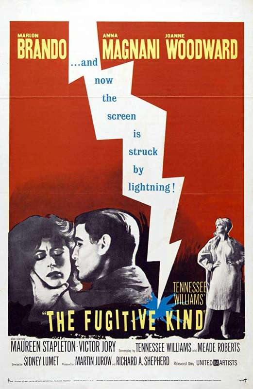 فيلم The Fugitive Kind 1960 مترجم فيلم The Fugitive Kind 1960 مترجم