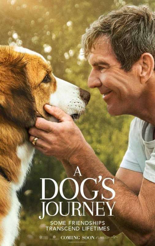 فيلم A Dog’s Journey 2019 مترجم فيلم A Dog’s Journey 2019 مترجم