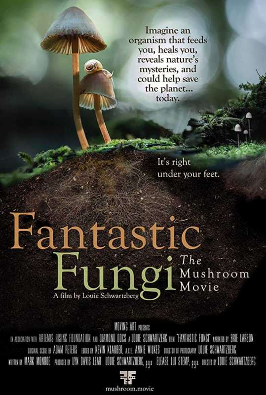فيلم Fantastic Fungi 2019 مترجم فيلم Fantastic Fungi 2019 مترجم