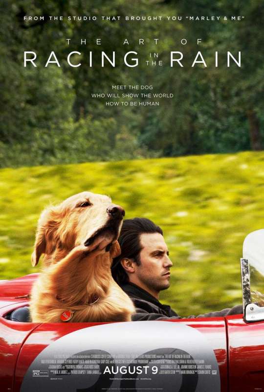 فيلم The Art of Racing in the Rain 2019 مترجم فيلم The Art of Racing in the Rain 2019 مترجم