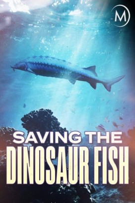 فيلم Saving the Dinosaur Fish 2020 مترجم فيلم Saving the Dinosaur Fish 2020 مترجم