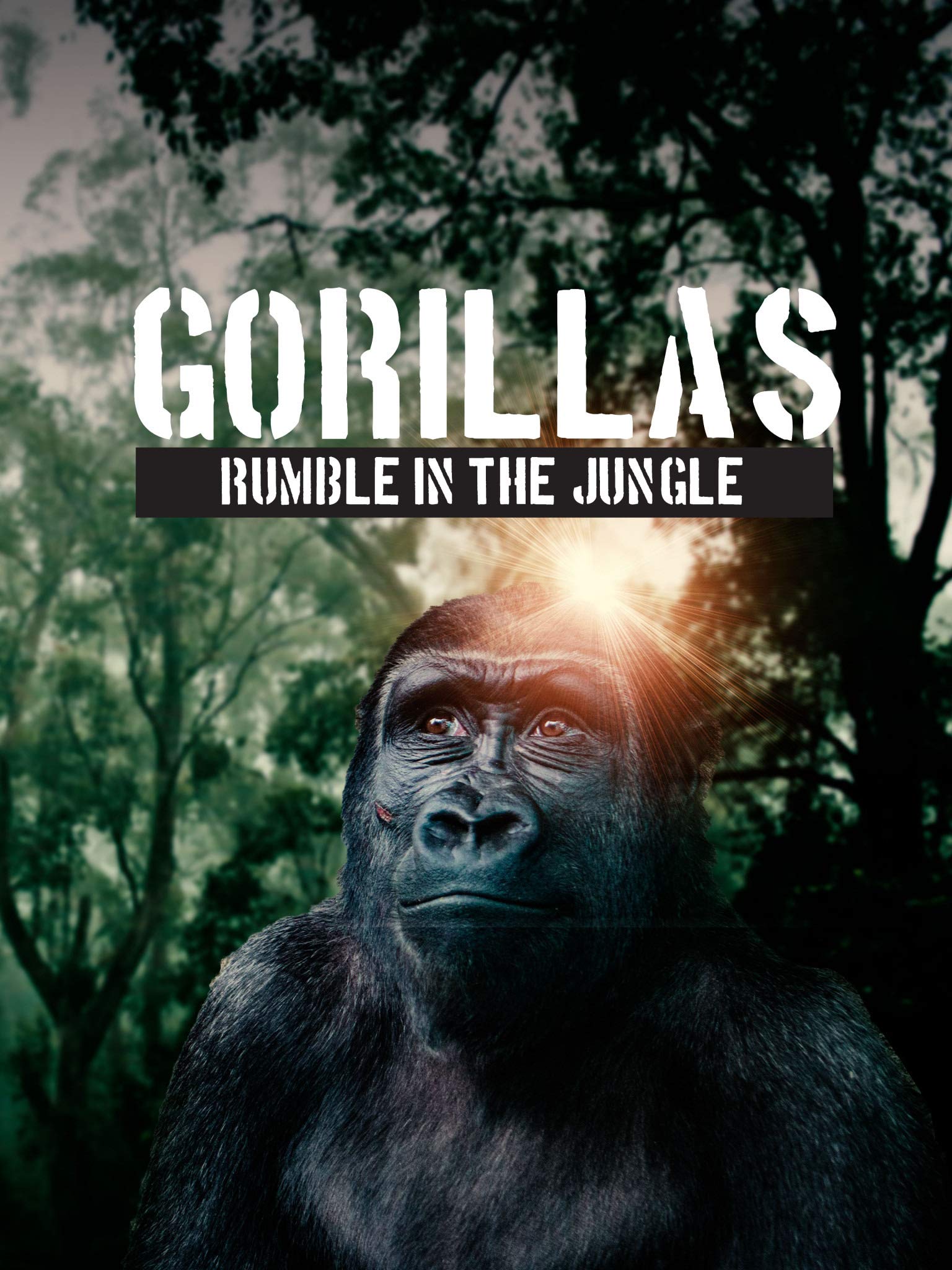 فيلم Gorillas Rumble In The Jungle 2020 مترجم فيلم Gorillas Rumble In The Jungle 2020 مترجم