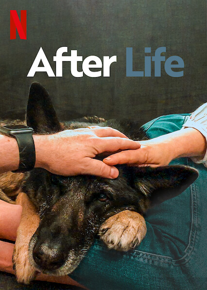 مسلسل After Life الموسم الثالث حلقة 2 مسلسل After Life الموسم الثالث حلقة 2