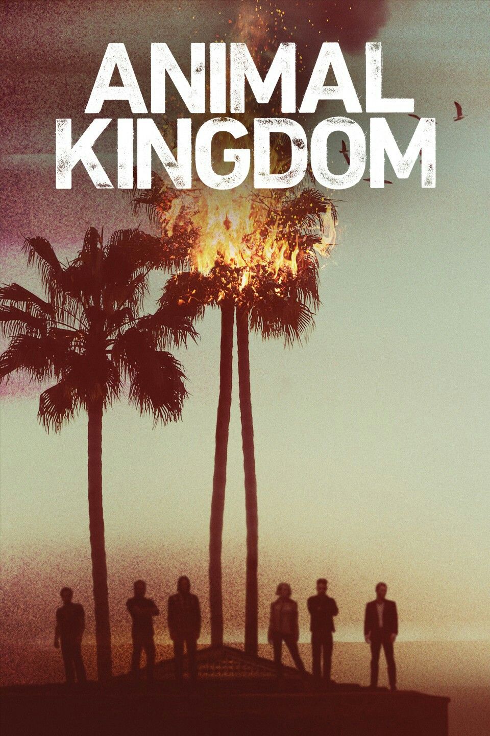 مسلسل Animal Kingdom الموسم الاول حلقة 4 مسلسل Animal Kingdom الموسم الاول حلقة 4