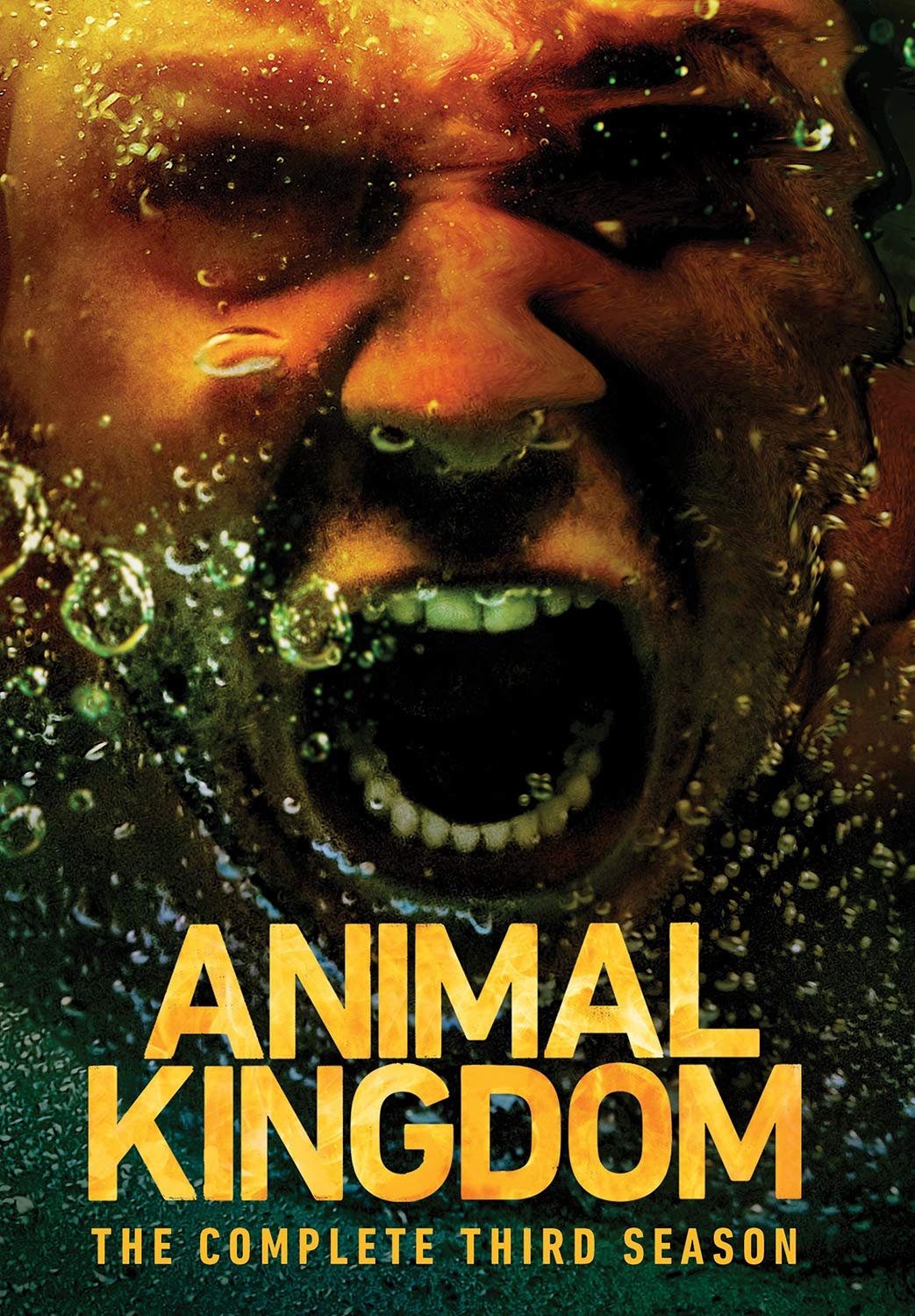 مسلسل Animal Kingdom الموسم الثالث حلقة 11 مسلسل Animal Kingdom الموسم الثالث حلقة 11