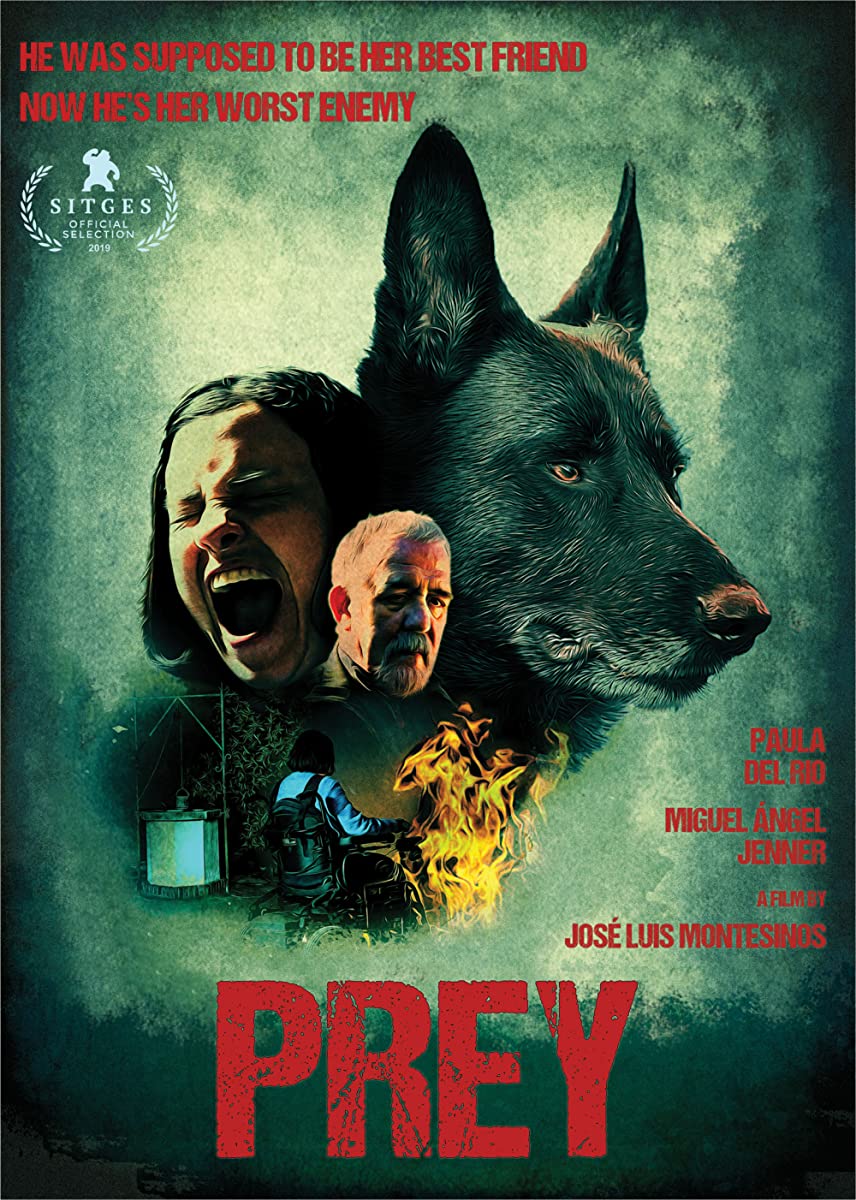 فيلم Cordes 2019 مترجم فيلم Cordes 2019 مترجم