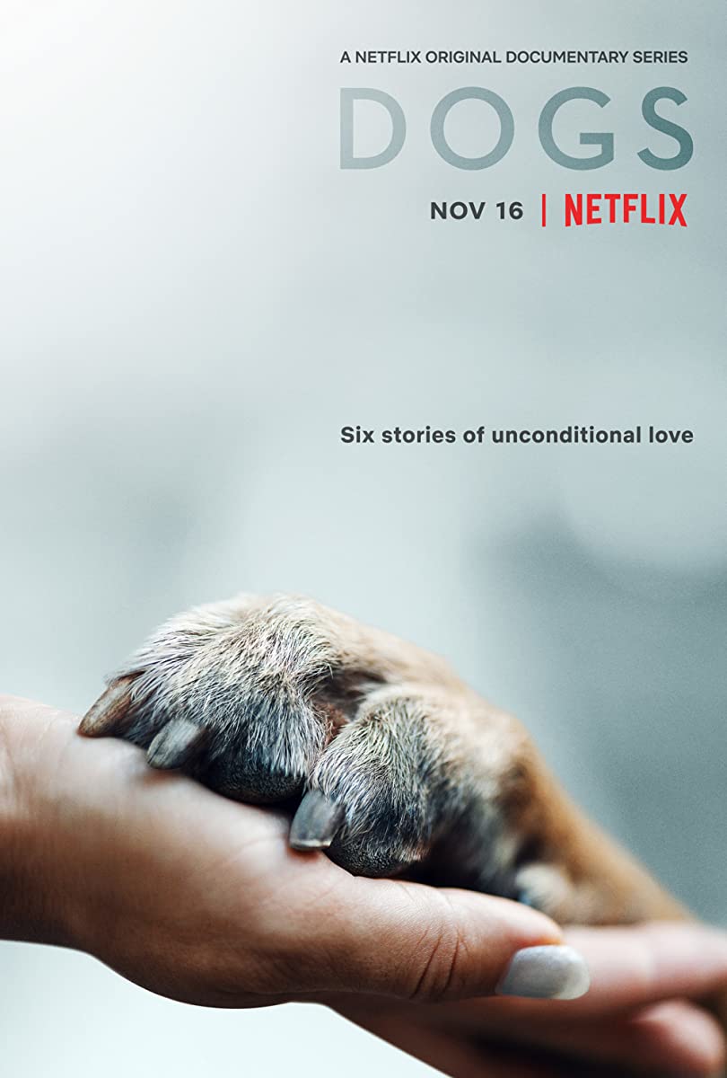 مسلسل Dogs الموسم الاول حلقة 3 مسلسل Dogs الموسم الاول حلقة 3