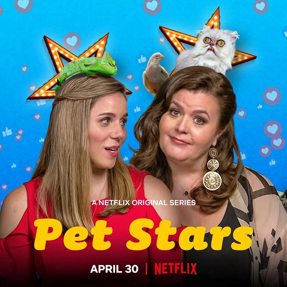برنامج Pet Stars الموسم الاول حلقة 2 برنامج Pet Stars الموسم الاول حلقة 2