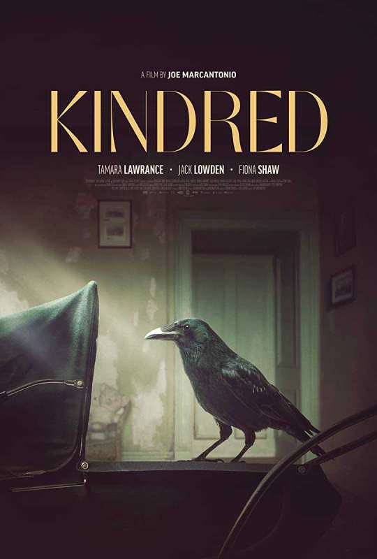 فيلم Kindred 2020 مترجم فيلم Kindred 2020 مترجم