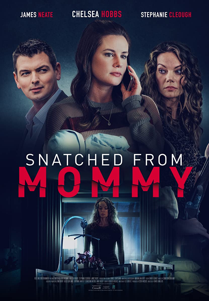 فيلم A Mother’s Fury 2021 مترجم فيلم A Mother’s Fury 2021 مترجم