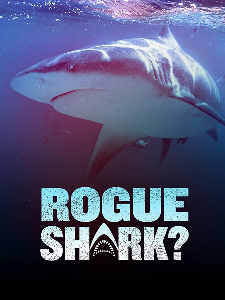 فيلم Rogue Shark 2021 مترجم فيلم Rogue Shark 2021 مترجم