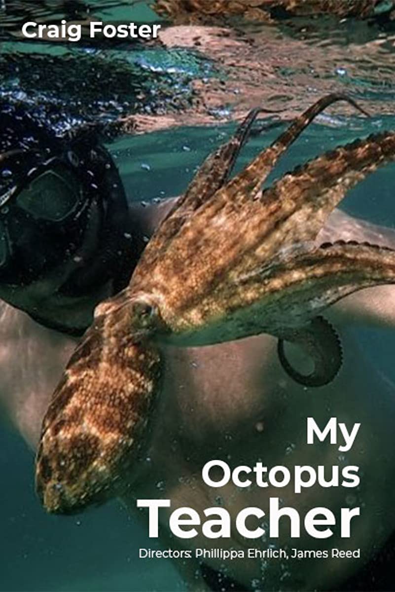 فيلم My Octopus Teacher 2020 مترجم فيلم My Octopus Teacher 2020 مترجم