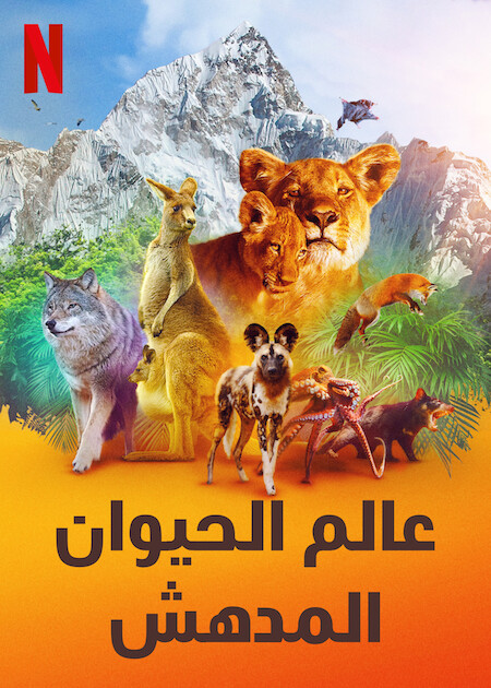 مسلسل Animal الموسم الثاني حلقة 3 مسلسل Animal الموسم الثاني حلقة 3