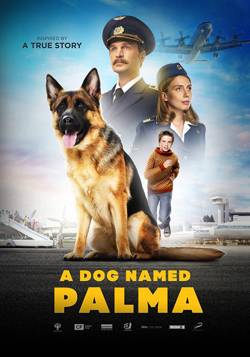 فيلم Palma 2021 مترجم فيلم Palma 2021 مترجم