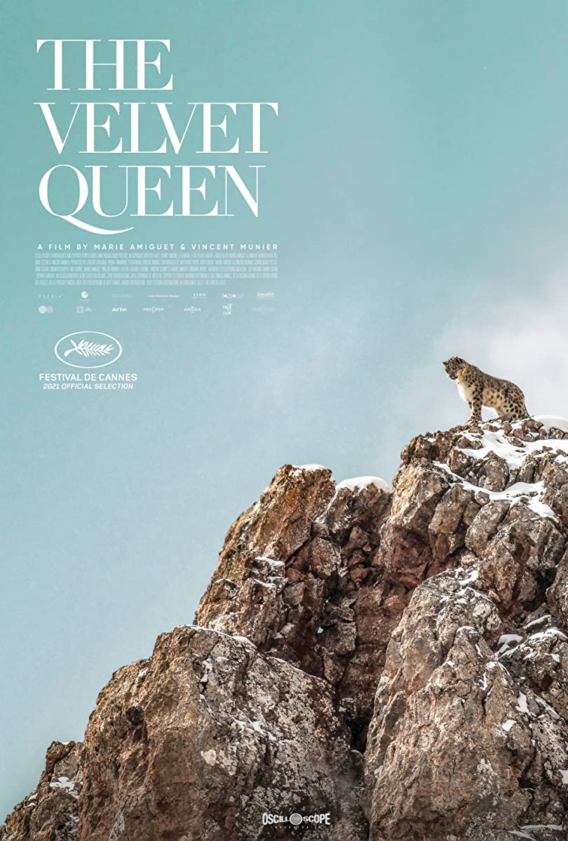 فيلم The Velvet Queen 2021 مترجم فيلم The Velvet Queen 2021 مترجم