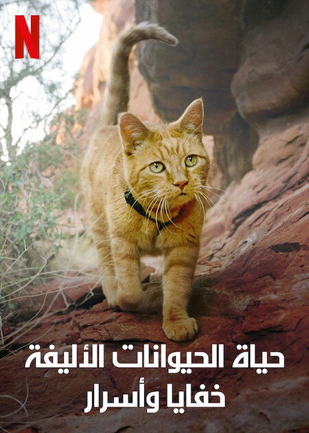 مسلسل The Hidden Lives of Pets الموسم الاول حلقة 4 والاخيرة مسلسل The Hidden Lives of Pets الموسم الاول حلقة 4 والاخيرة