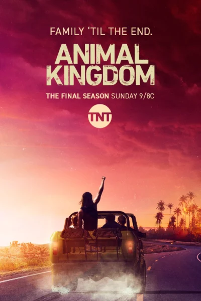 مسلسل Animal Kingdom الموسم السادس حلقة 11 مسلسل Animal Kingdom الموسم السادس حلقة 11