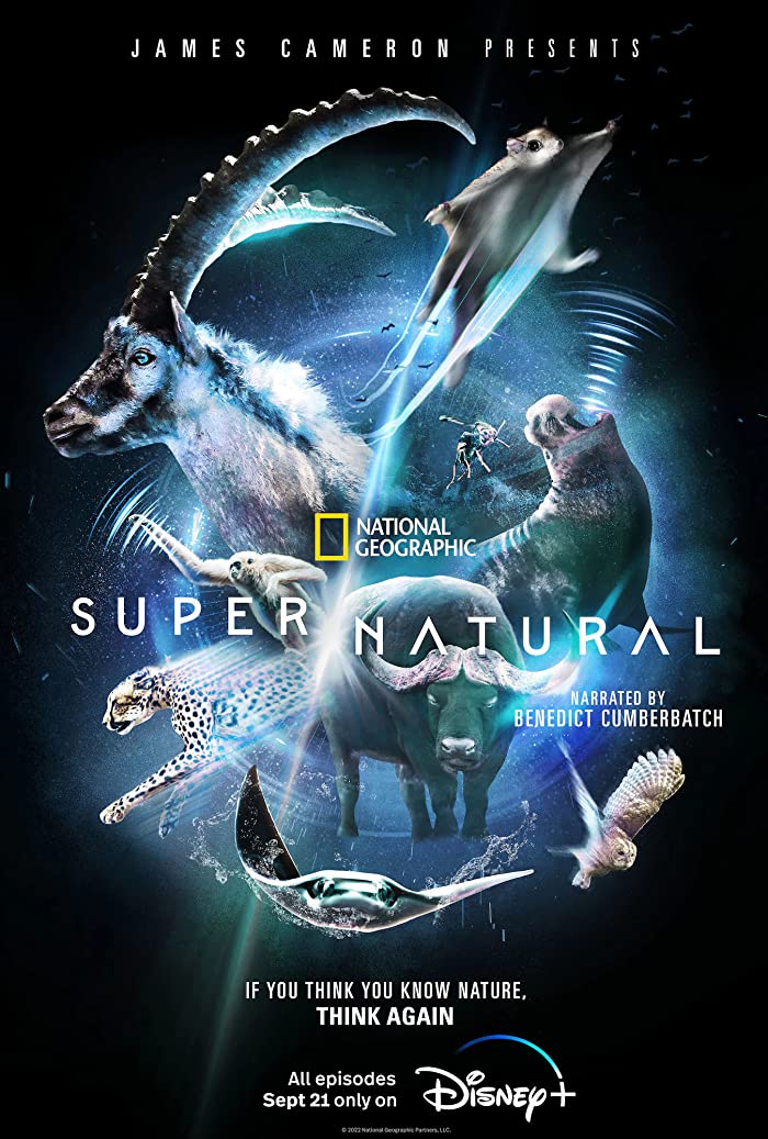 مسلسل Super/Natural الموسم الاول حلقة 4 مسلسل Super/Natural الموسم الاول حلقة 4
