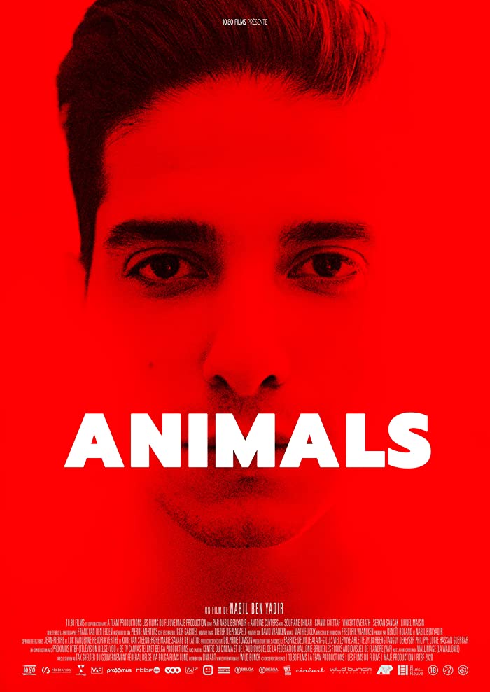 فيلم Animals 2021 مترجم فيلم Animals 2021 مترجم
