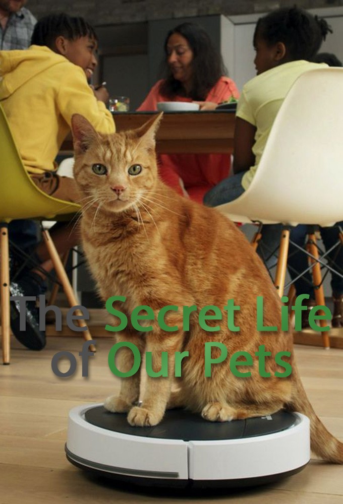 مسلسل The Secret Life of Our Pets الموسم الاول حلقة 2 مسلسل The Secret Life of Our Pets الموسم الاول حلقة 2