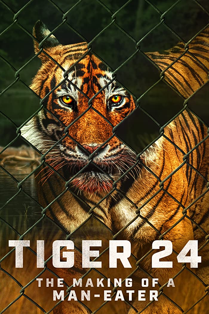 فيلم Tiger 24 2022 مترجم فيلم Tiger 24 2022 مترجم