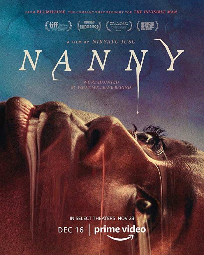 فيلم Nanny 2022 مترجم فيلم Nanny 2022 مترجم