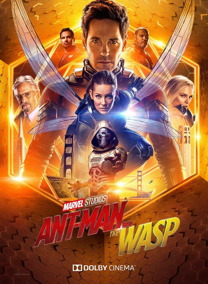 فيلم Ant-Man and the Wasp 2018 مترجم فيلم Ant-Man and the Wasp 2018 مترجم