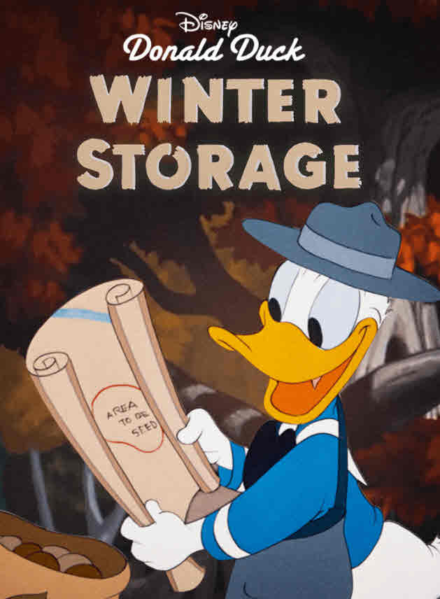 فيلم Winter Storage فيلم Winter Storage