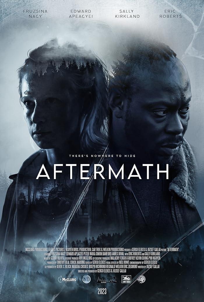 فيلم Aftermath 2024 مترجم فيلم Aftermath 2024 مترجم