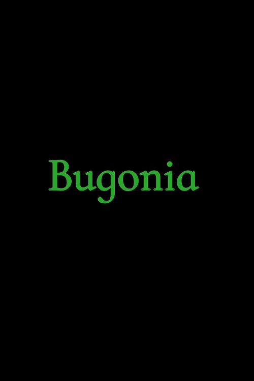 فيلم Bugonia 2025 مترجم فيلم Bugonia 2025 مترجم
