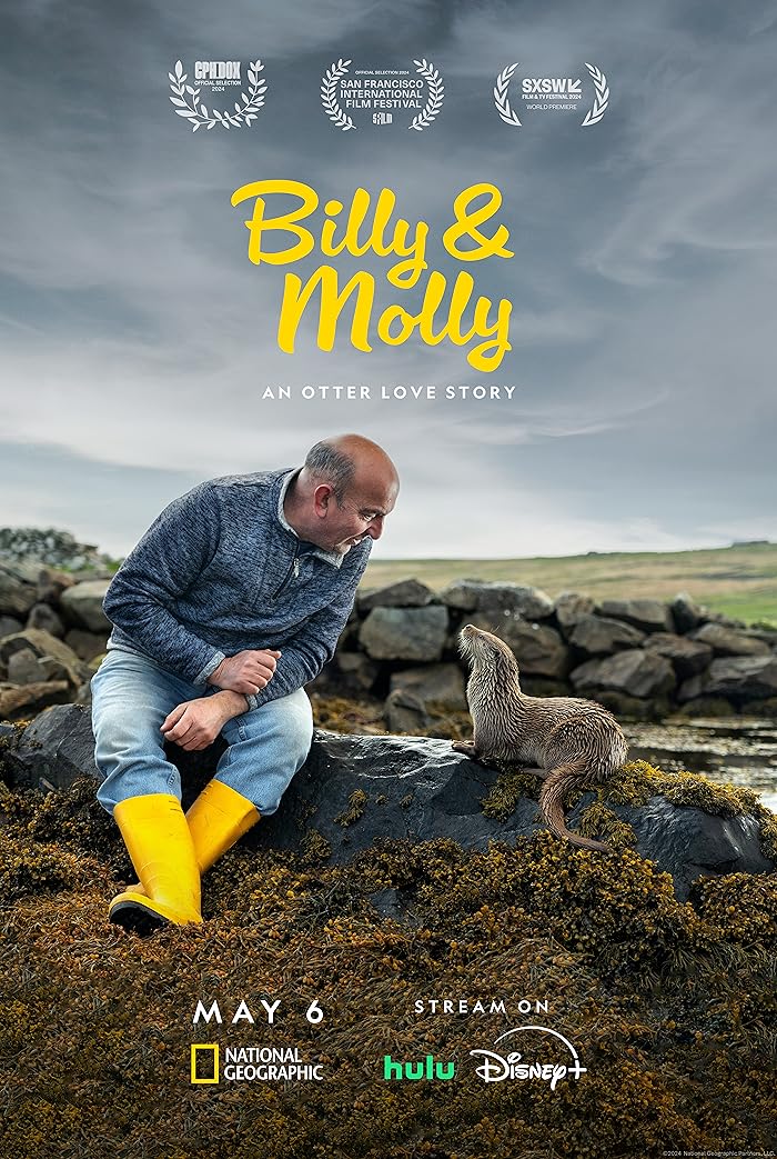 فيلم Billy & Molly: An Otter Love Story 2024 مترجم فيلم Billy & Molly: An Otter Love Story 2024 مترجم