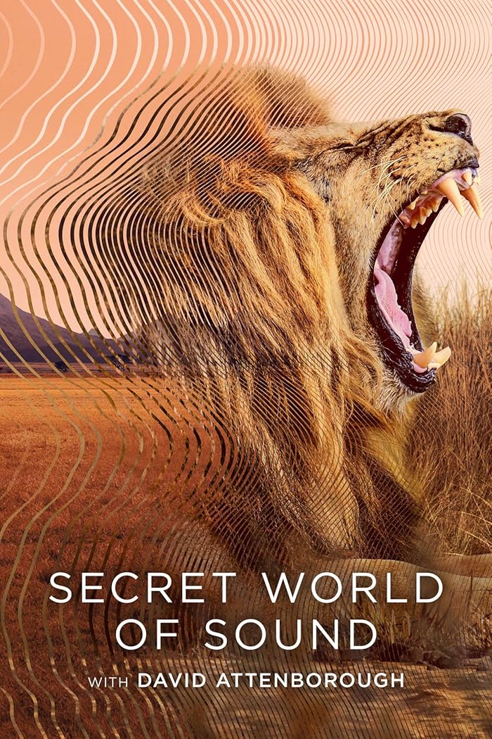 مسلسل Secret World of Sound with David Attenborough الموسم الاول حلقة 3 والاخيرة مسلسل Secret World of Sound with David Attenborough الموسم الاول حلقة 3 والاخيرة