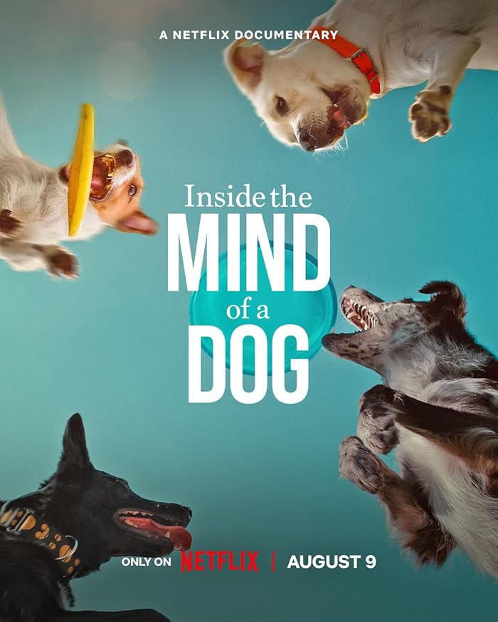 فيلم Inside the Mind of a Dog 2024 مترجم فيلم Inside the Mind of a Dog 2024 مترجم