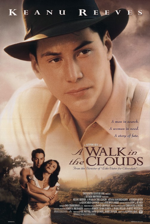 فيلم A Walk in the Clouds 1995 مترجم فيلم A Walk in the Clouds 1995 مترجم