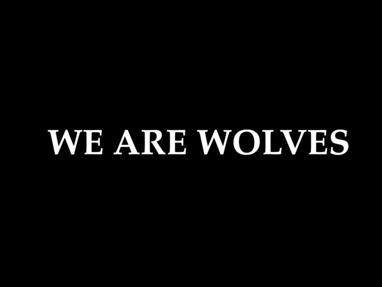 فيلم We Are Wolves 2024 مترجم فيلم We Are Wolves 2024 مترجم
