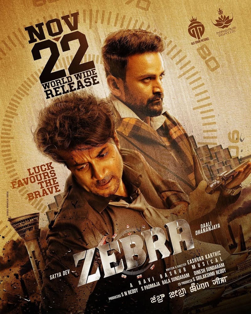 فيلم Zebra 2024 مترجم فيلم Zebra 2024 مترجم