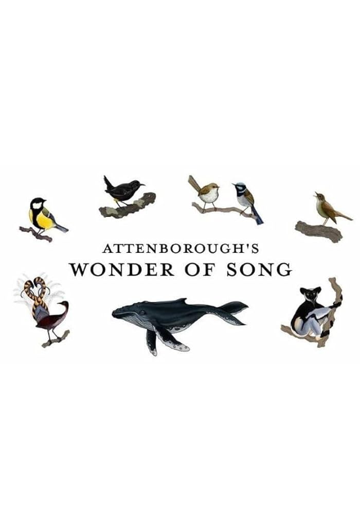 فيلم Attenborough’s Wonder of Song 2022 مترجم فيلم Attenborough’s Wonder of Song 2022 مترجم