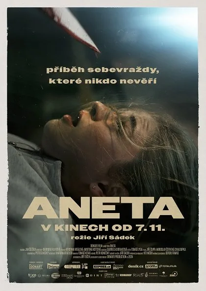 فيلم Aneta 2024 مترجم فيلم Aneta 2024 مترجم