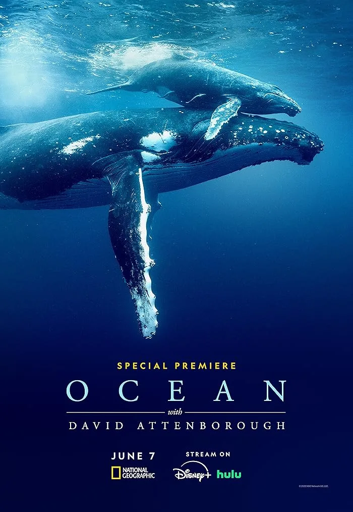 فيلم Ocean with David Attenborough 2025 مترجم فيلم Ocean with David Attenborough 2025 مترجم